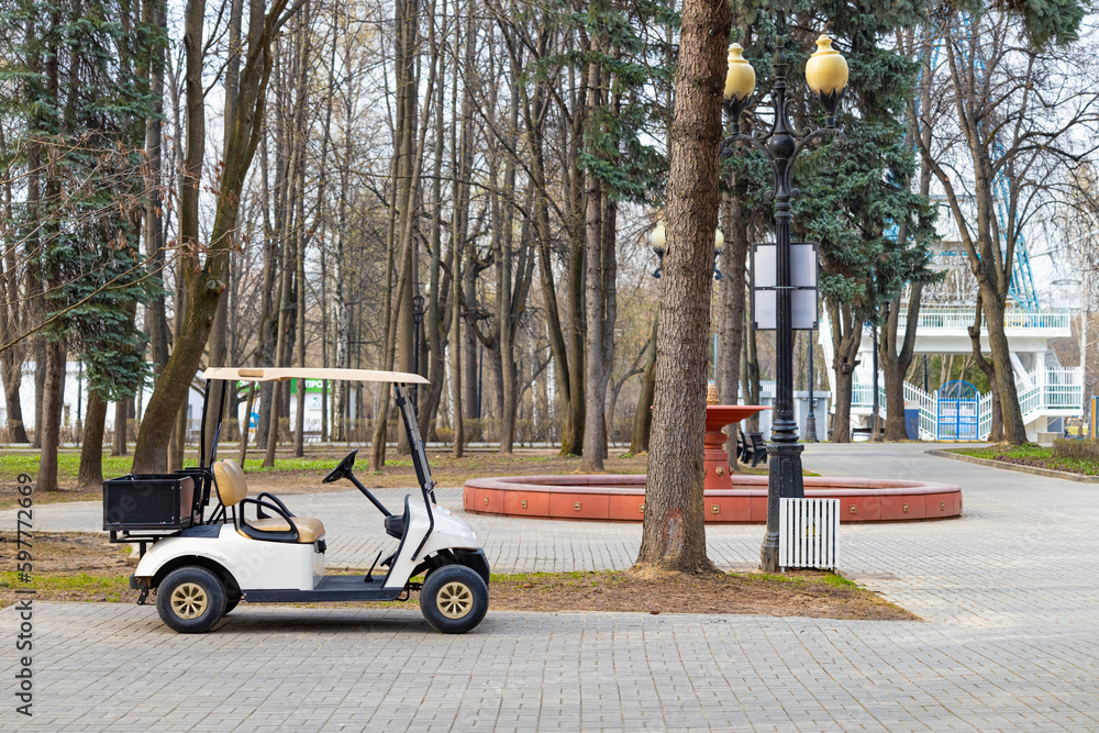 white electric car to move around the park
