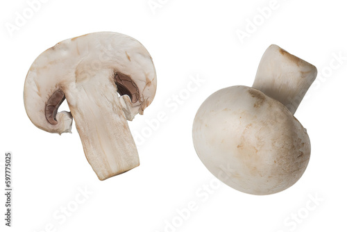 Champignon isolated on white or transparent background, cut out