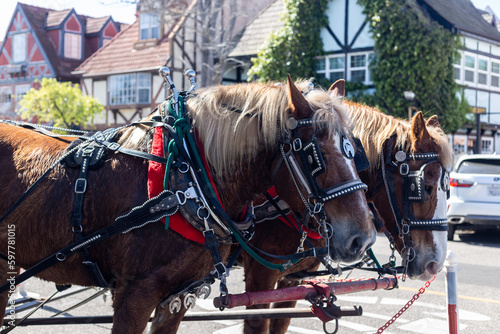 Horses close up in the streets of Solvang CA