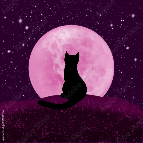 Black cat looks at the moon
