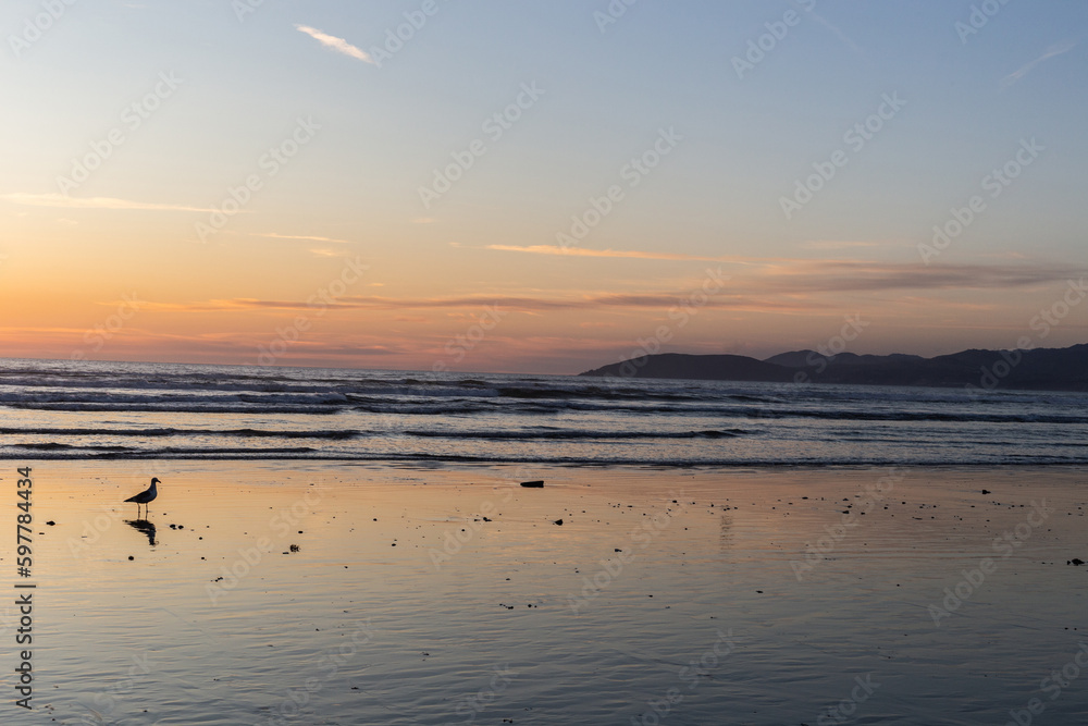 A view on the Pacific ocean shore at sunset