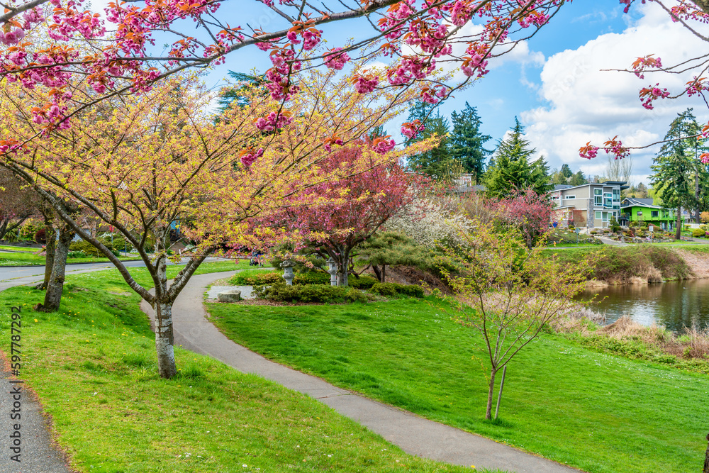 Naklejka premium Lake Washington Boulevard Flowers 6