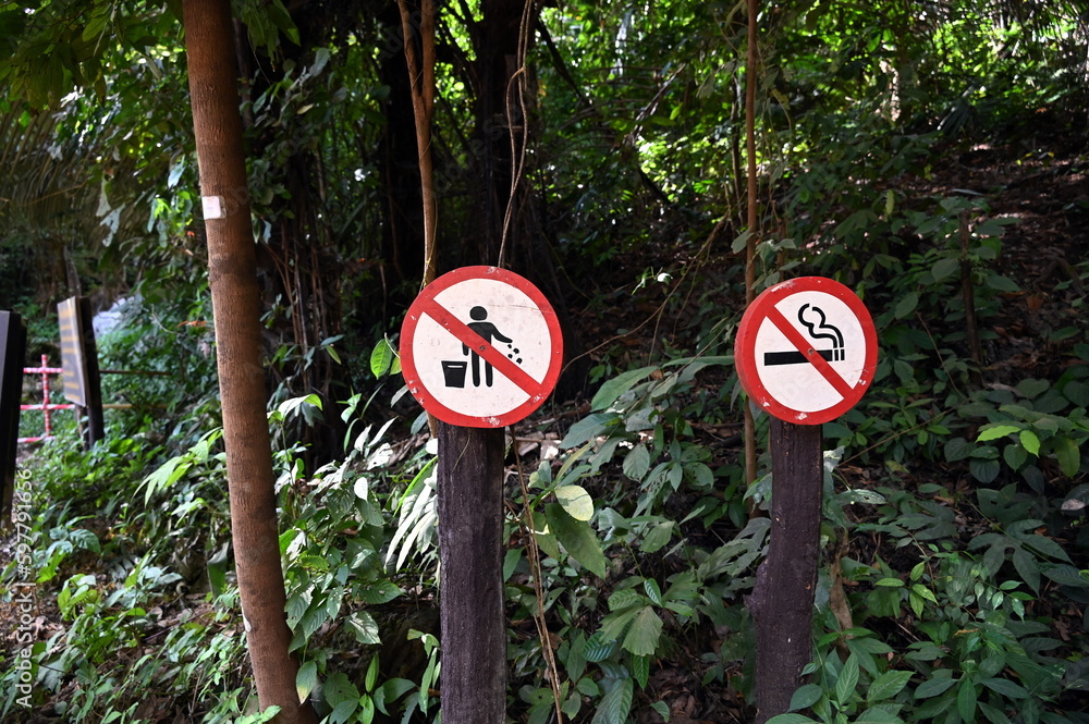 No Smoking And No Littering Signs Installed On Wooden Poles In National no-smoking-and-no-littering-signs-installed-on-wooden-poles-in-national