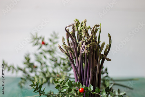 Close up of Ruscus aculeatus known as a butcher with red berries (pungitopo). Ruscus Aculeatus fresh sprouts.