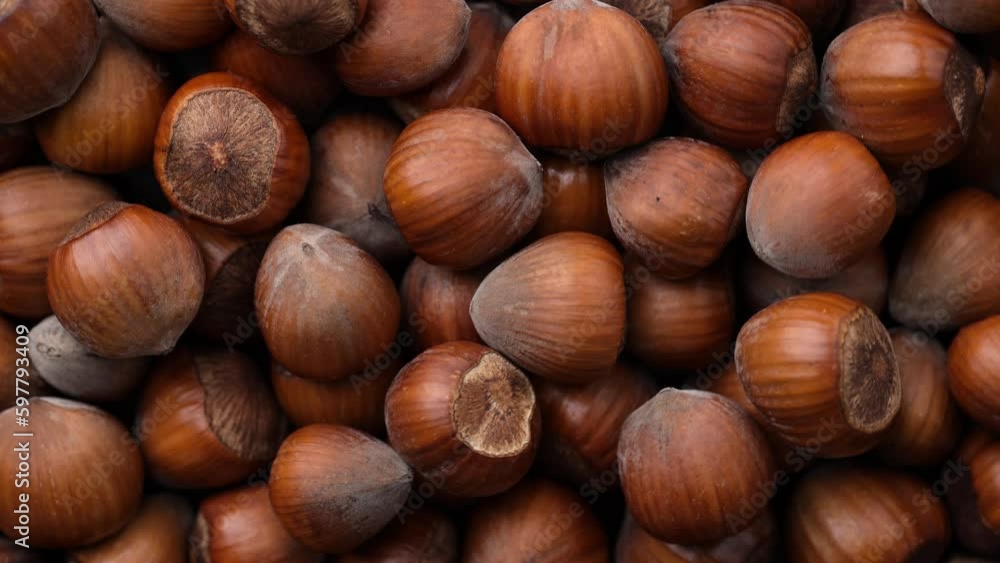 Hazelnuts rotating background. Hazelnuts wallpaper closeup. Hazelnuts rotating background. Hazelnuts wallpaper closeup.