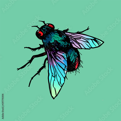 Colored vector  inked style house fly wall art