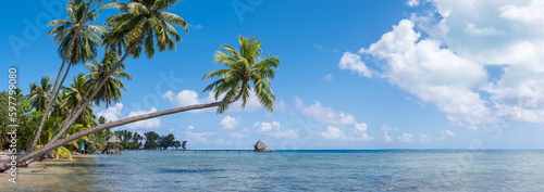 Tropical beach panorama as background