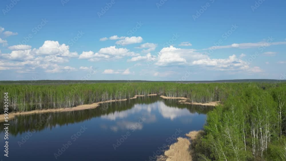 Drone flight along the Volga river bay. Birch trees grow on the islands. Drone flight along the Volga river bay. Birch trees grow on the islands.