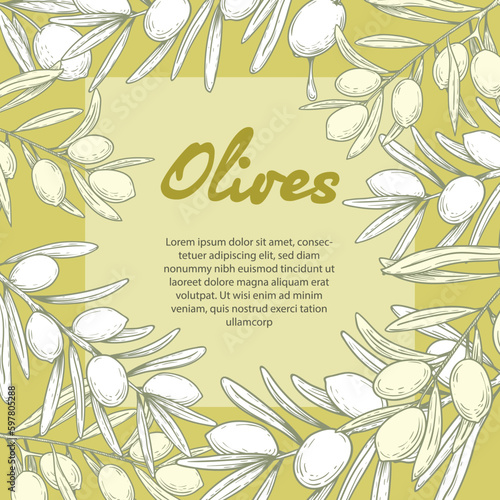 Olive oil banner design template. Sketch style olive branches and extra virgin vector label with olive tree on light background. Vector illustration..