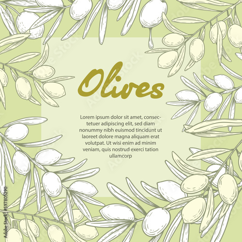 Olive oil banner design template. Sketch style olive branches and extra virgin vector label with olive tree on light background. Vector illustration.
