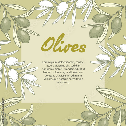 Olive oil banner design template. Sketch style olive branches and extra virgin vector label with olive tree on light background. Vector illustration.
