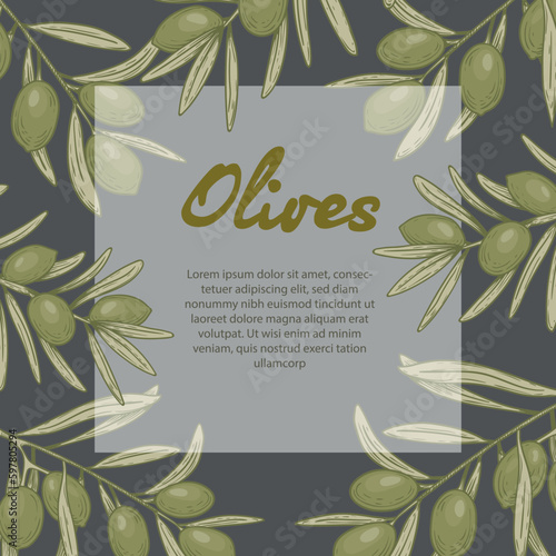 Olive oil banner design template. Sketch style olive branches and extra virgin vector label with olive tree on dark background. Vector illustration.