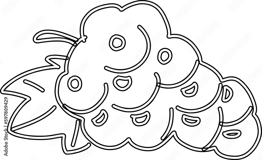Grapes line drawing for decoration. Grapes line drawing for decoration.