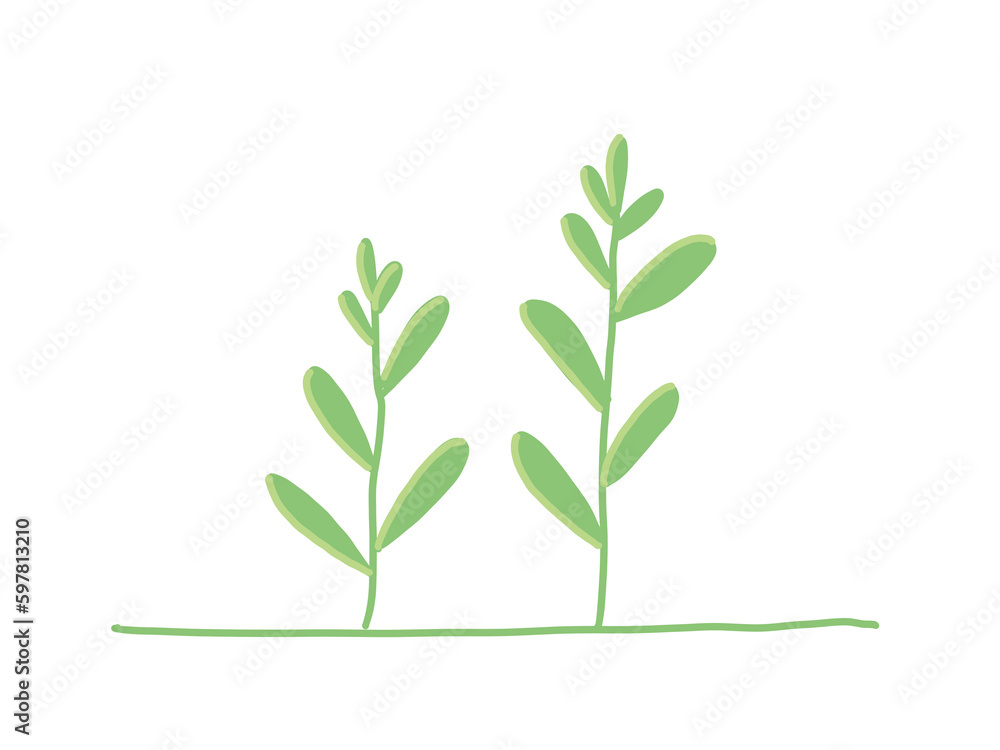 Naklejka premium green plant isolated on white background