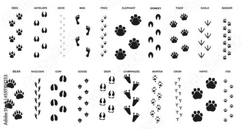 Set of trails for animals and birds with the name. ESP 10.