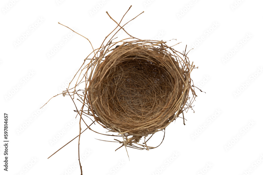 Obraz premium Empty bird nest isolated on white background. Top view. Clipping path