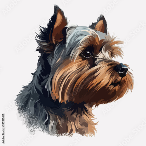 Yorkshire Terrier vector portrait hand draw. Colours bright dog on gray background isolated.