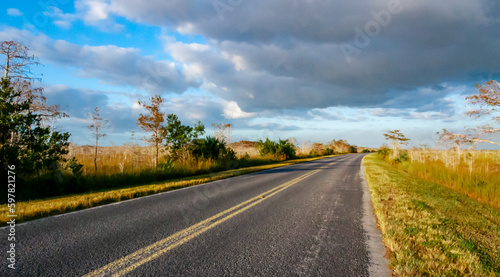 Fotografie Asphalt road among swamps in a national park, Florida