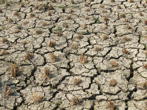 dry cracked soil