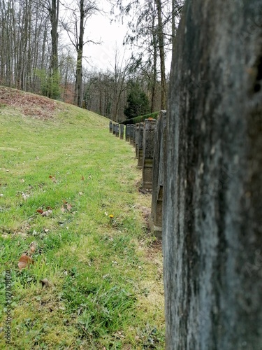 Grabsteine am Kloster Heisterbach