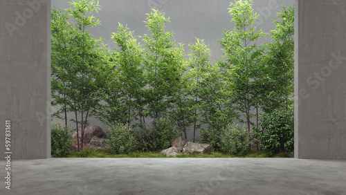 Fototapeta Naklejka Na Ścianę i Meble -  Empty room with bamboo green plant wall background. 3d render, Concrete wall and floor.