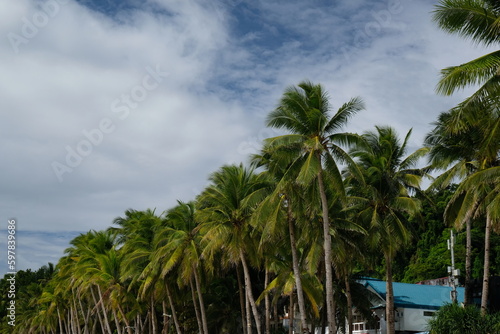 palm trees and clouds, Boracay