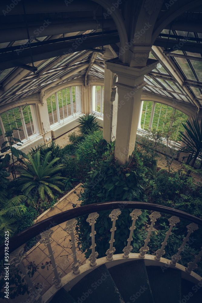 Fototapeta premium Trees in a giant glass house