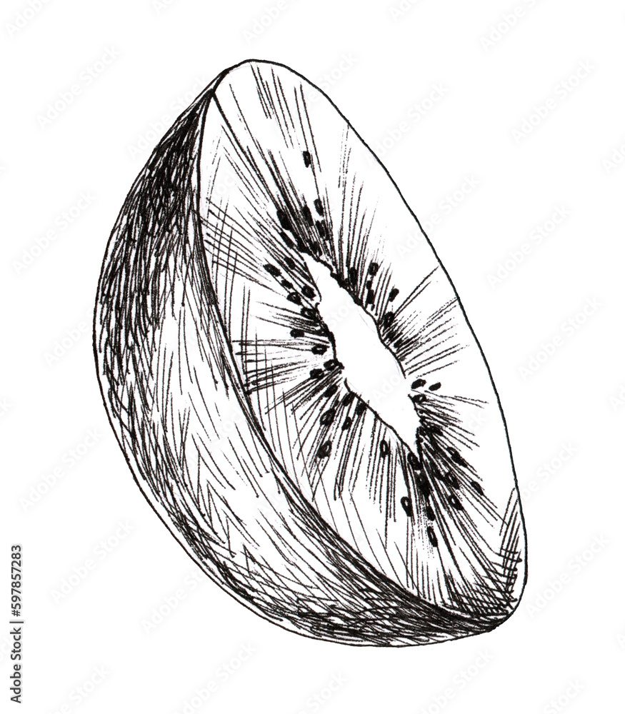 Obraz premium Kiwi illustration in graphics isolated on white background