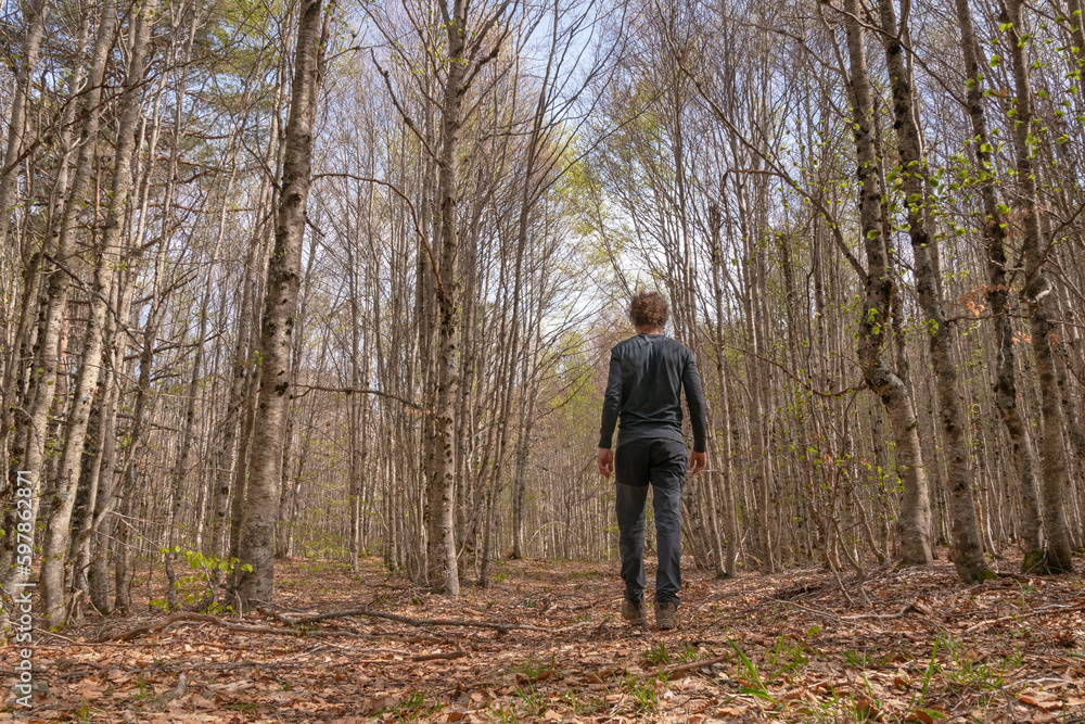 Hiker relaxing through the forest in spring Hiker relaxing through the forest in spring