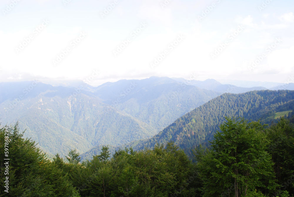 green mountains in the morning