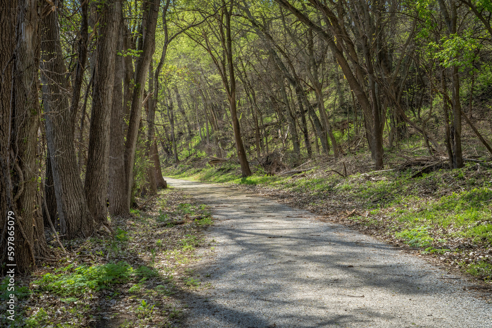 forest road in springtime - Steamboat Trace Trail converted from old railroad near Peru, Nebraska forest road in springtime - Steamboat Trace Trail converted from old railroad near Peru, Nebraska