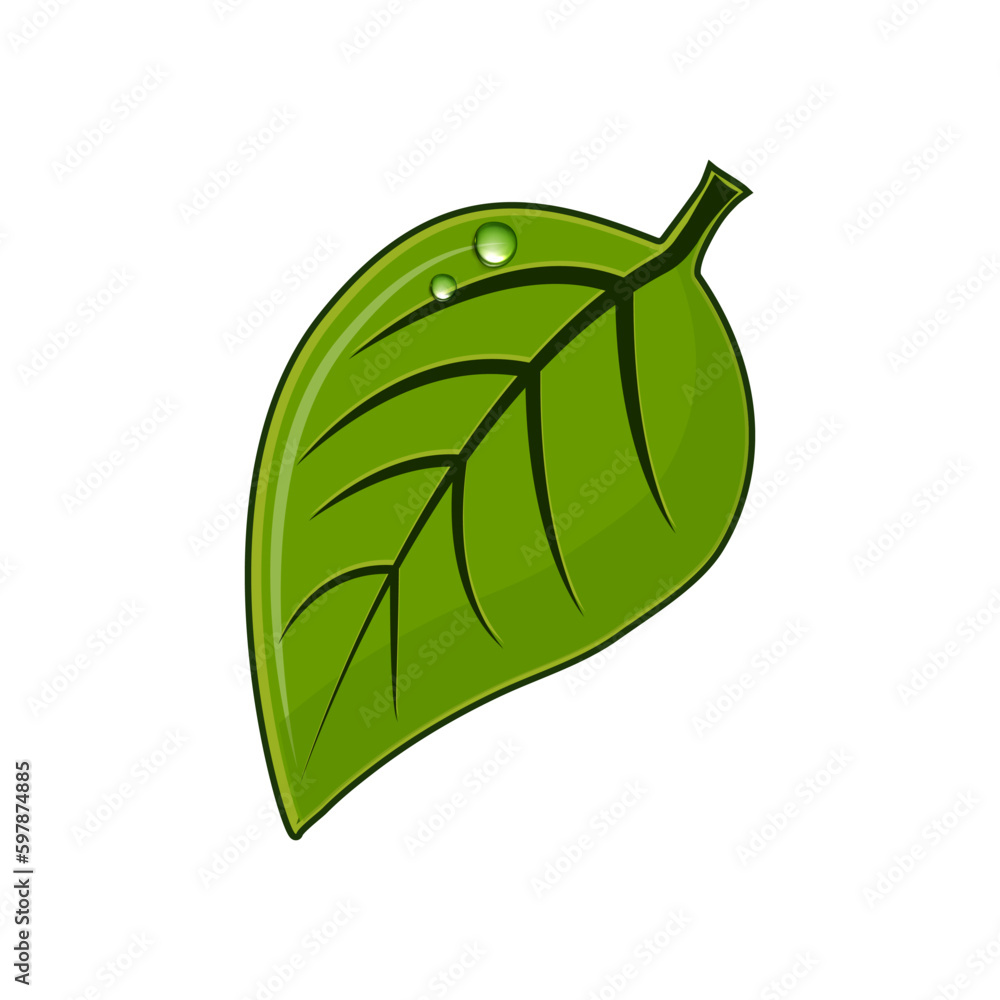 Cartoon Green Leaf Fresh Organic Plant. Vector Hand Drawn Illustration Isolated On Transparent Background