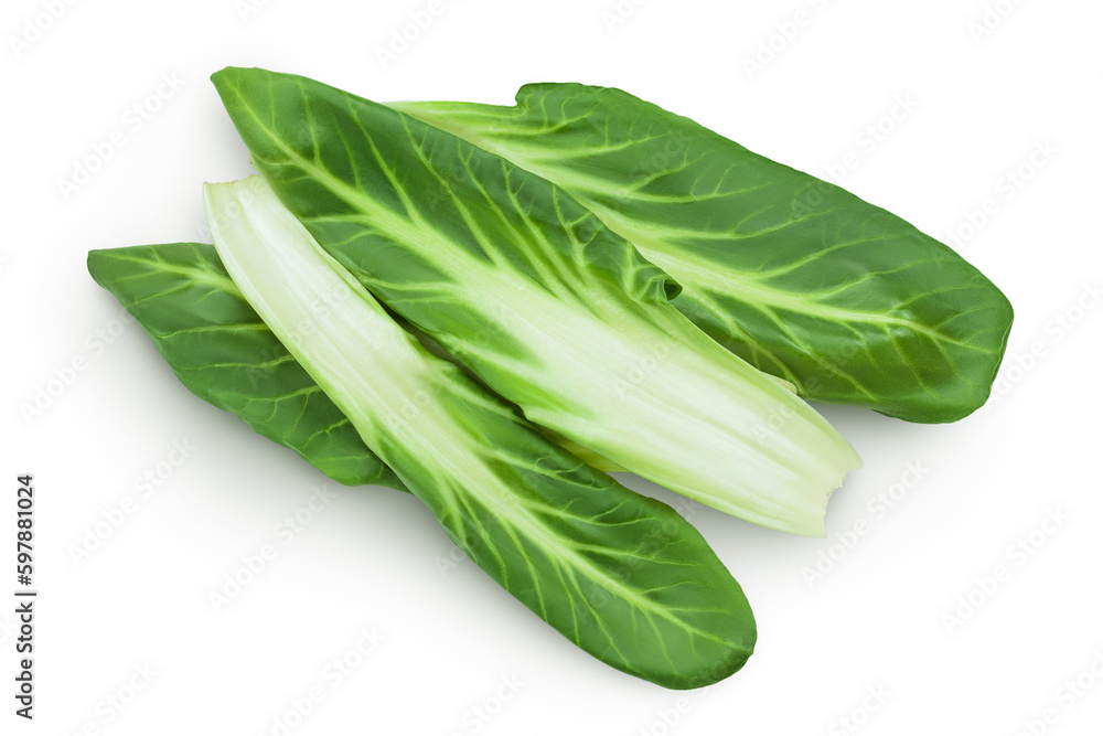Organic fresh chard plant isolated on white background with full depth of field Organic fresh chard plant isolated on white background with full depth of field