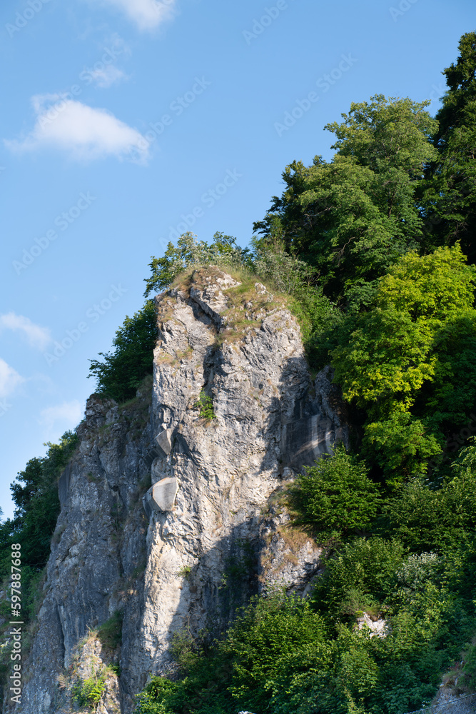 Close up of a large rock towering high against the blue sky. The background sky is blue. Trees and other green plants grow sideways on the rock.