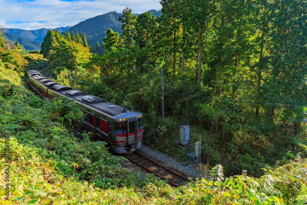 Fototapeta premium 山間部のカーブを抜ける播但線の特急はまかぜ気動車