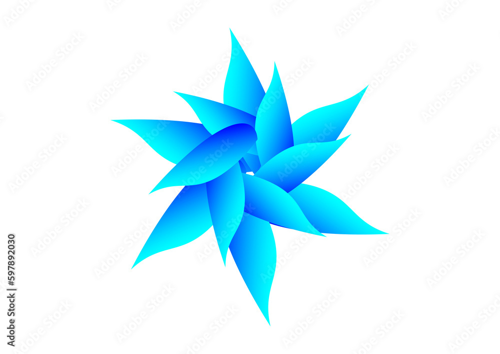 colorful flower colorful flower
