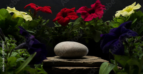 Canvas Print zen stone with colorful flowers for podium background