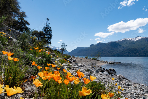 Paisaje del sur de Argentina, en Villa la Angostura en primavera, todavía algunas montañas con picos de nieve
