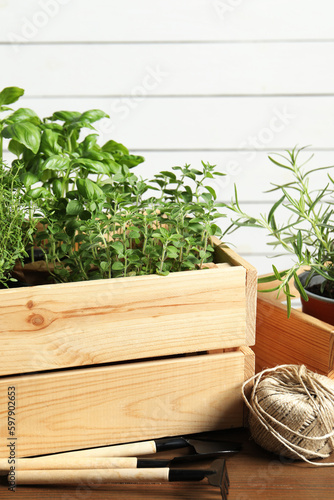 Crate with different potted herbs and gardening tools on wooden table, closeup