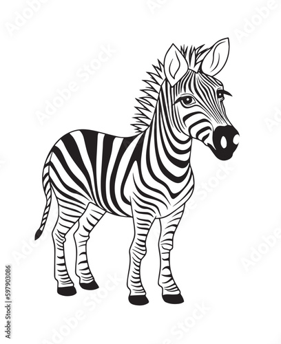Hand drawn vector coloring page of cartoonish Zebra. Coloring page for kids and adults. Print design  t-shirt design  tattoo design  mural art  line art. 