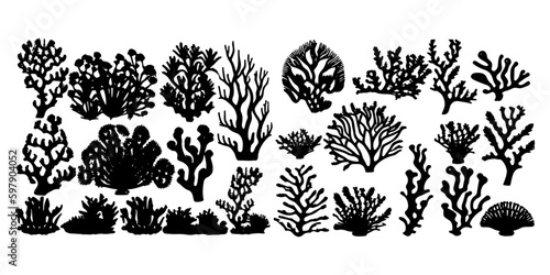 coral silhouettes