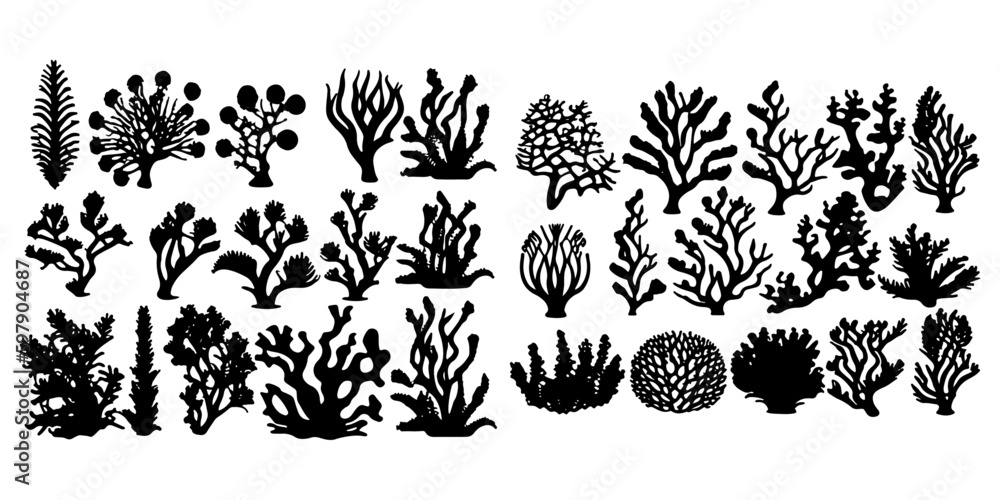 coral silhouettes