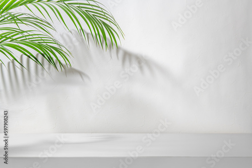 Fotografering 椰子の葉の影の落ちる白い空間の背景テクスチャー
