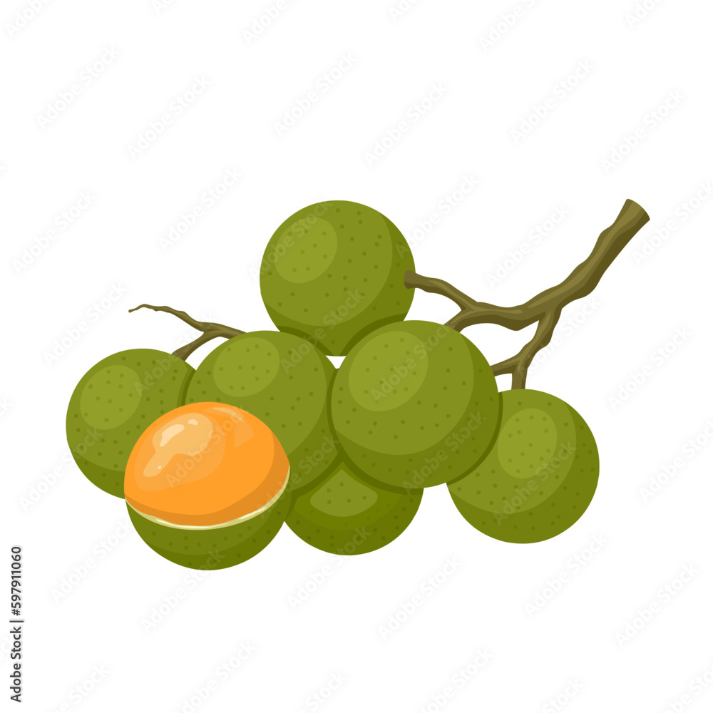 Quenepe Images – Browse 59 Stock Photos, Vectors, and Video | Adobe Stock, image size:1000x1000