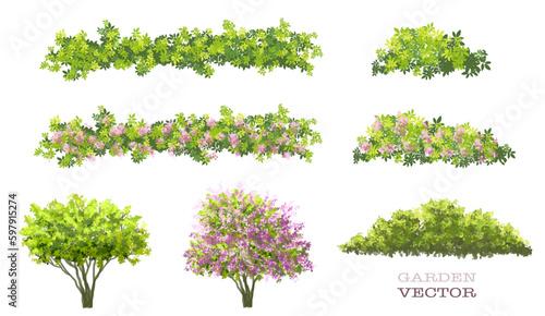 Vector watercolor blooming flower grass side view isolated on white background for landscape and architecture drawing, elements for environment or and garden,botanical elements for section in spring 