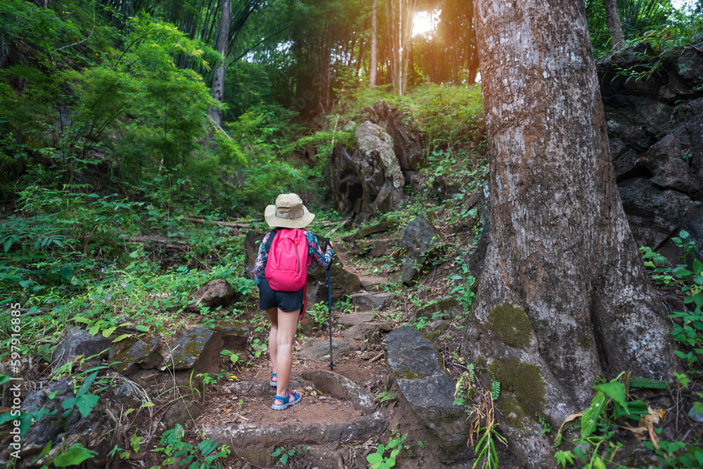 Obraz premium asian child hiking or kid girl carry backpack holding walking pole or people trekking and camper camping in nature forest or natural wild jungle on holiday travel adventure at lan sang national park