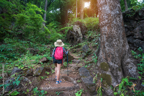 Billede på lærred asian child hiking or kid girl carry backpack holding walking pole or people tre