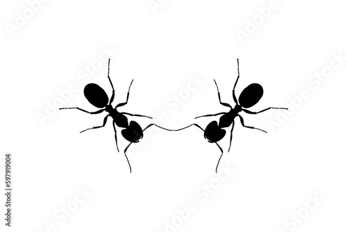 Pair of the Ant Silhouette for Art Illustration, Logo, Pictogram, Website, or Graphic Design Element. Vector Illustration