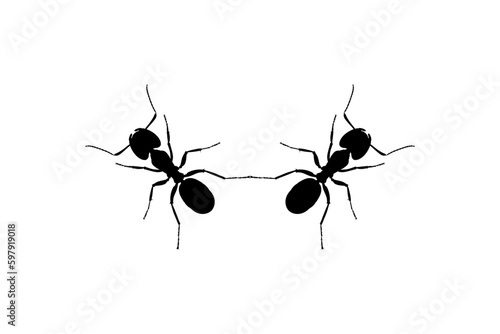 Pair of the Ant Silhouette for Art Illustration, Logo, Pictogram, Website, or Graphic Design Element. Vector Illustration © Berkah Visual