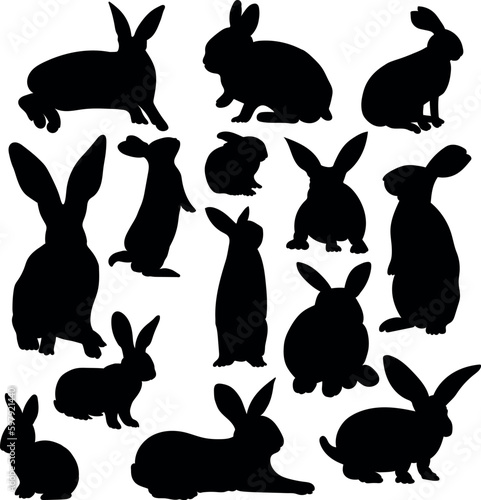 Rabbit Silhouette Set